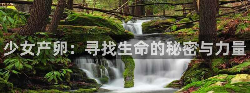 香蕉漫画书免费阅读方法