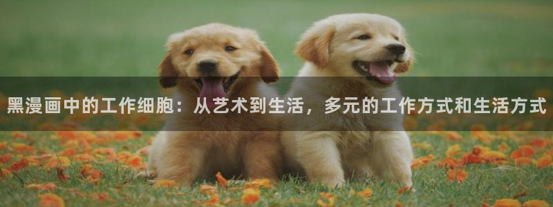 免费香蕉漫画