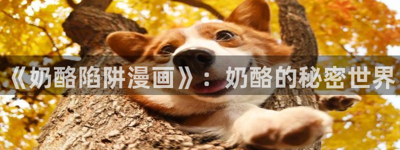 免费看香蕉漫画